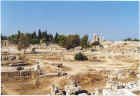 The agora with the Temple of Apollo in the background