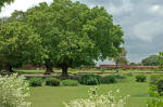 With the ruins of Nalanda directly behind