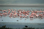 Ngorongoro Conservation Area