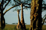 Serengeti National Park