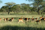 Serengeti National Park