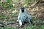 Serengeti National Park