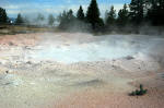 Steaming pool